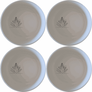 Discover the Aloe Ferox Flower Spike Bowl Set of 4, a stylish and versatile addition to your kitchen. Perfect for everyday use or special occasions.
