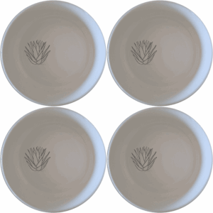 The Aloe Ferox Flower Spike Bowl Set of 4 features a minimalist design with a subtle botanical illustration, perfect for modern dining and everyday use.