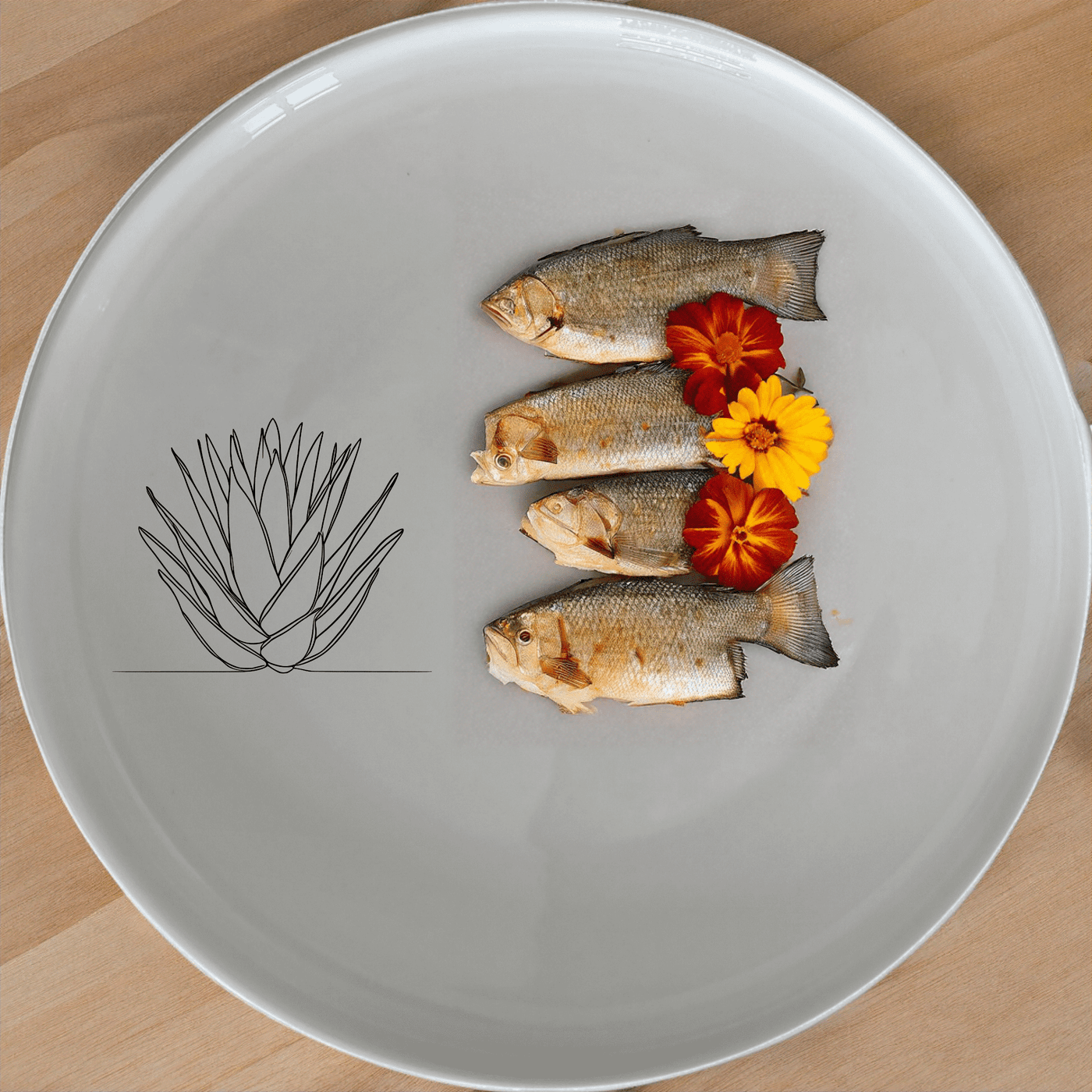 The Aloe Ferox Flower Spike Dinner Plate Set of 4 features a minimalist design with an elegant aloe ferox flower spike illustration, perfect for modern dining.