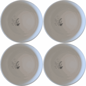 The Aroids Ferns Layered Ecosystem Bowl Set of 4 features elegant botanical designs for a touch of nature in your dining experience.