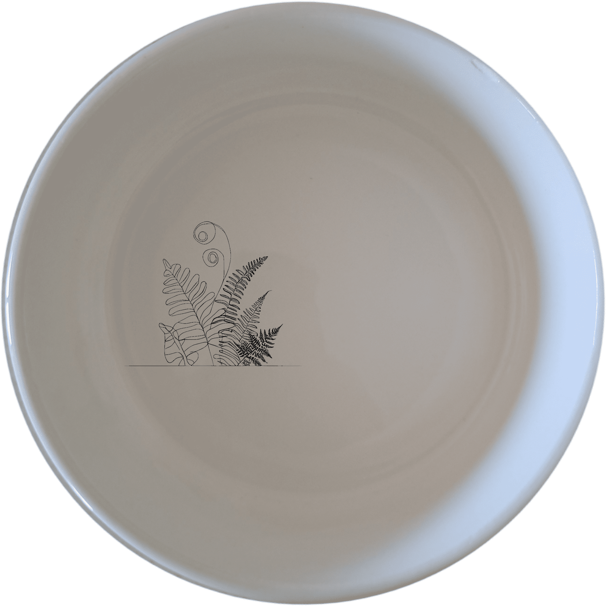 The Aroids Ferns Layered Ecosystem Bowl Set of 4 features elegant botanical designs for a touch of nature in your dining experience.