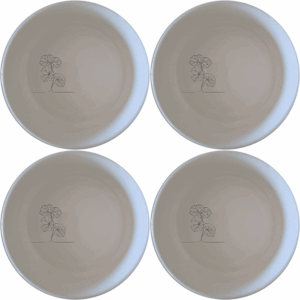 The Begonia Maculata Bowl Set of 4 features delicate botanical designs, perfect for everyday use or special occasions.