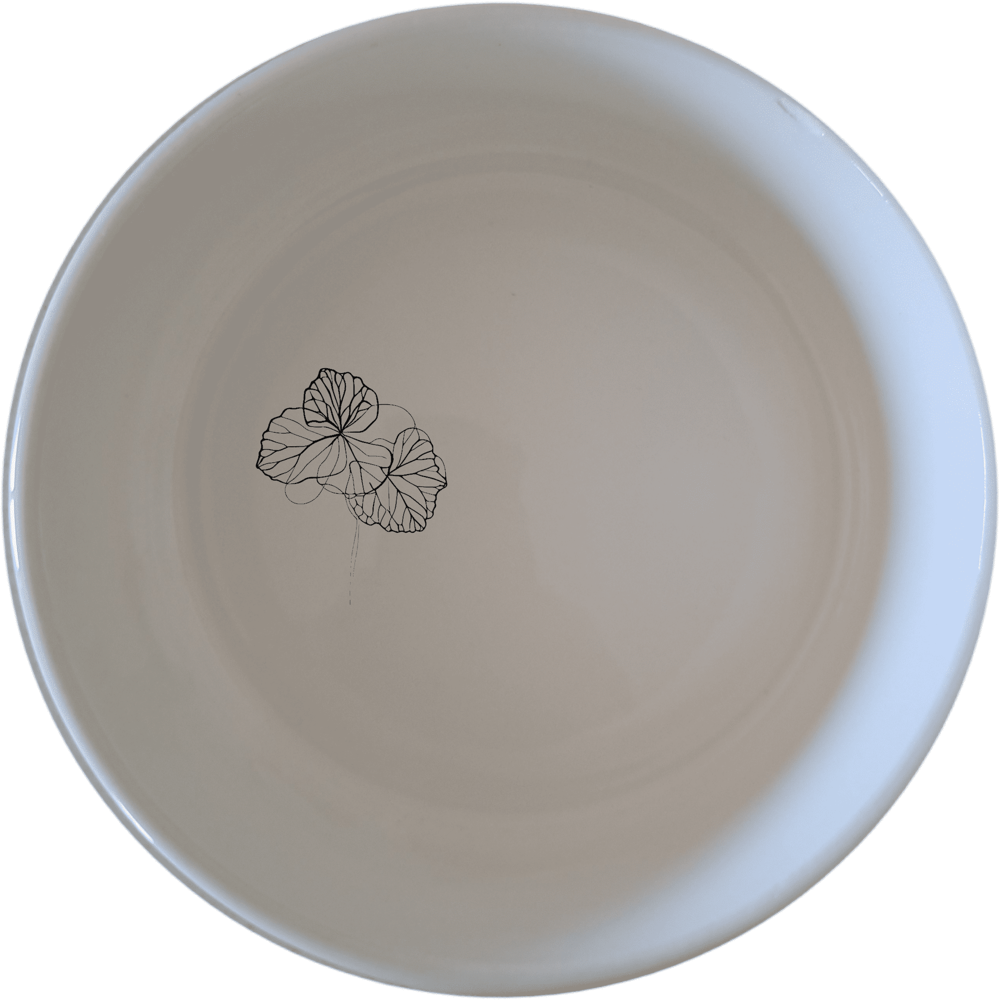 The Begonia Maculata Bowl Set of 4 features delicate botanical designs, perfect for adding a touch of nature to your dining experience.