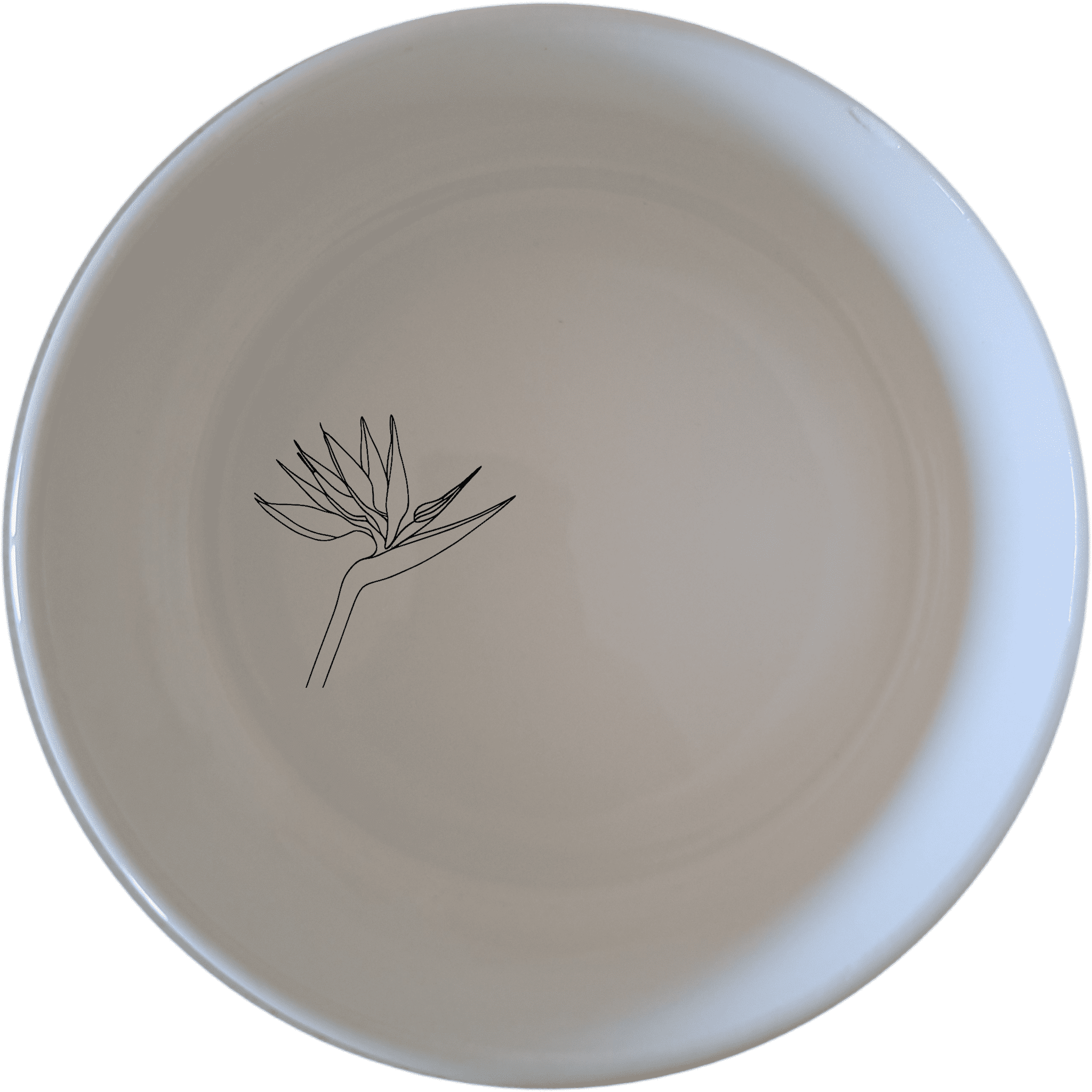 The Bird of Paradise Bowl Set of 4 features delicate bird illustrations, perfect for adding a touch of nature to your dining experience.