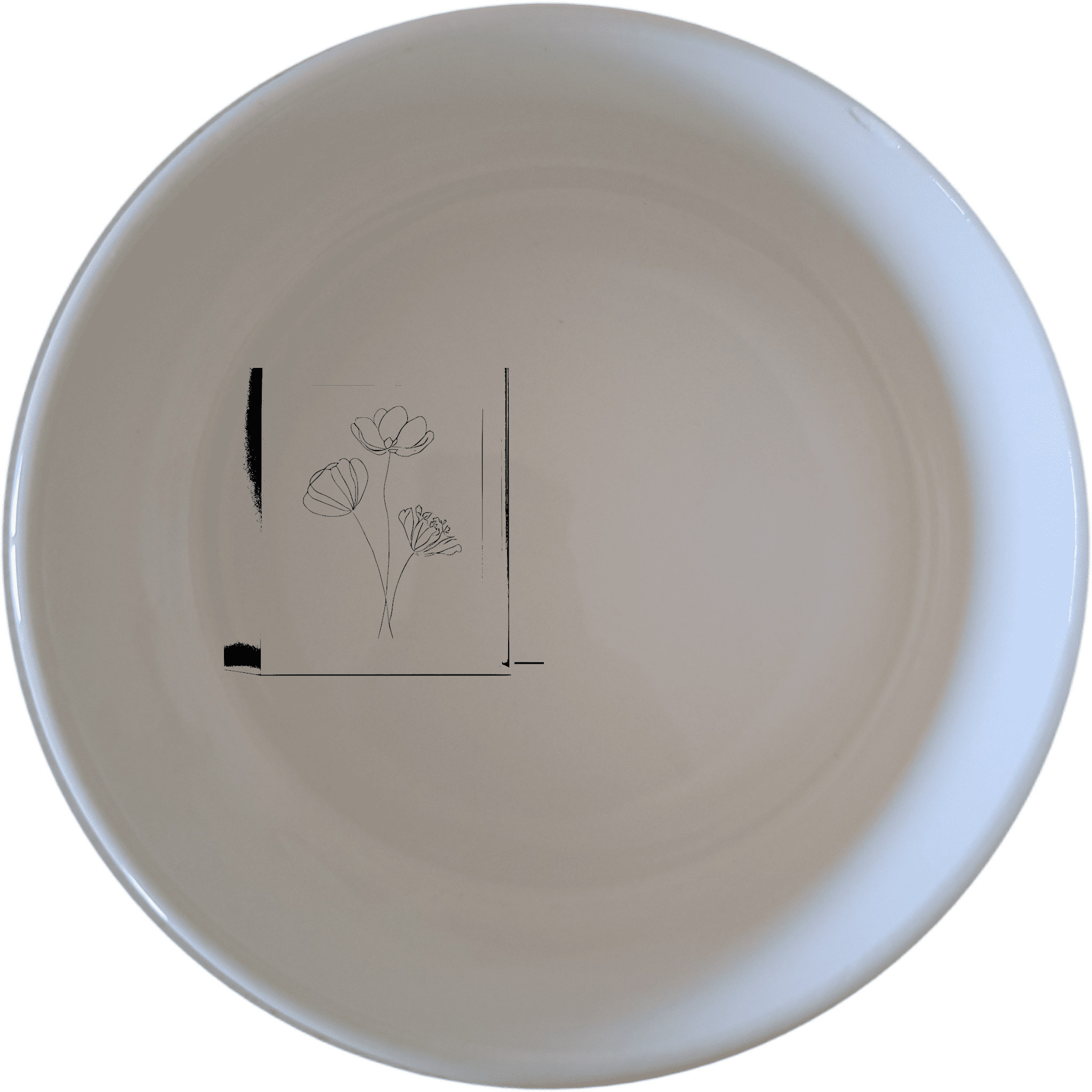 Botanical Pressed Flower Bowl Set of 4 adds a touch of nature to your dining experience with delicate pressed flower designs.