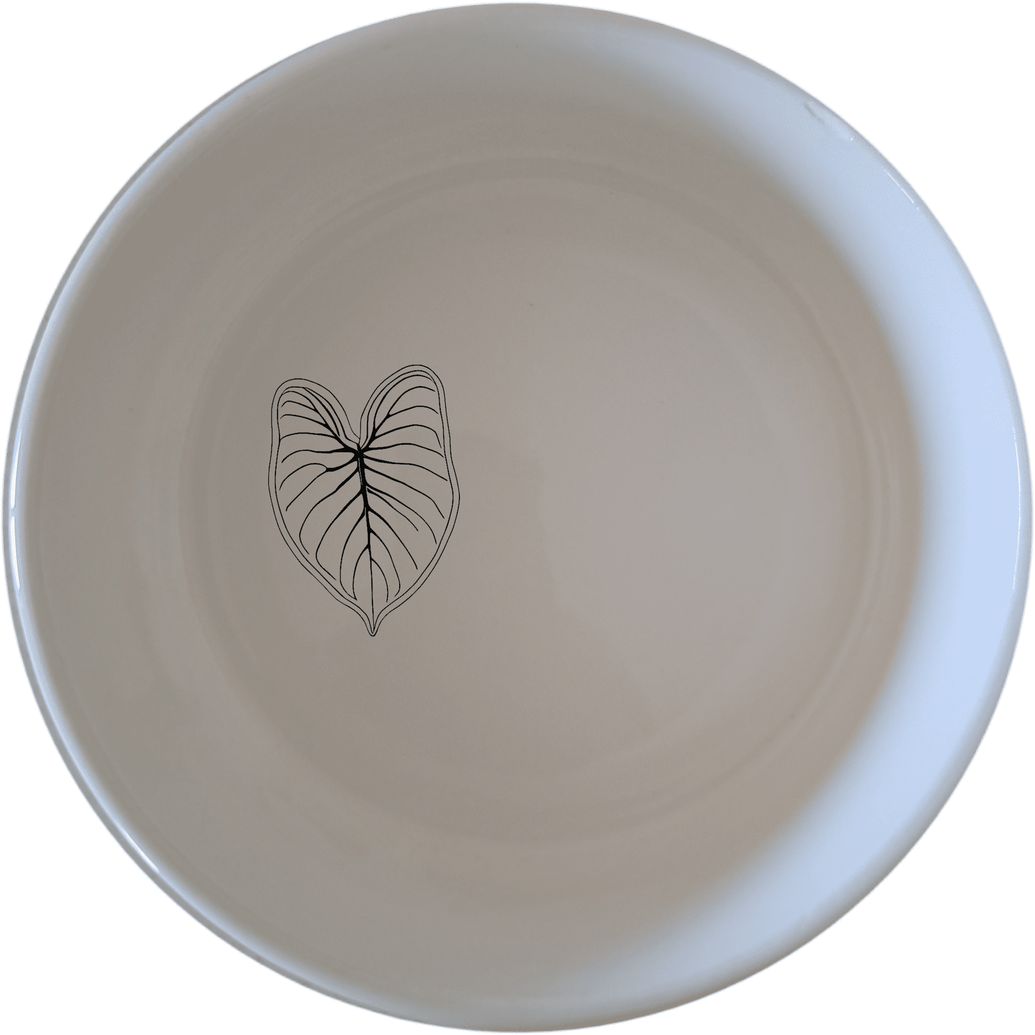 The Caladium Bicolor Bowl Set of 4 features elegant leaf designs, perfect for modern dining and everyday use.
