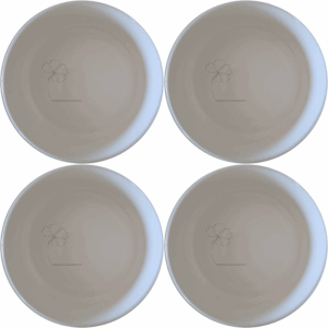 The Delicate Flower Petals Bowl Set of 4 features a minimalist floral design, perfect for everyday use or special occasions.