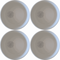 The Delicate Sea Urchins Bowl Set of 4 features intricate sea urchin designs on white ceramic bowls, perfect for any dining occasion.