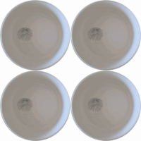 The Delicate Sea Urchins Bowl Set of 4 features intricate sea urchin designs, perfect for adding a touch of elegance to your dining experience.