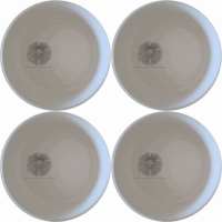 The Delicate Sea Urchins Bowl Set of 4 adds an artistic touch to your dining experience with intricate sea urchin designs.