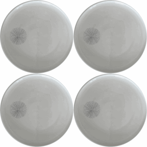 The Delicate Sea Urchins Dinner Plate Set of 4 adds a touch of elegance to any dining table with its intricate sea urchin design.