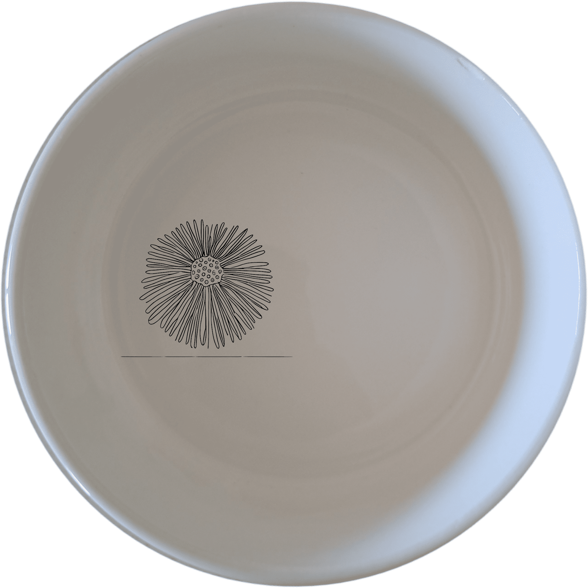 The Delicate Sea Urchins Bowl Set of 4 adds an artistic touch to your dining experience with intricate sea urchin designs.