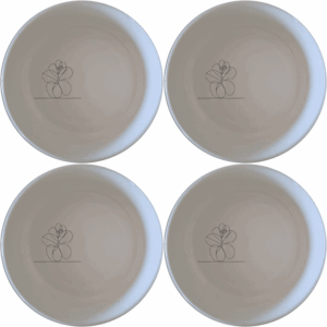 The Hoya Carnosa Bowl Set of 4 features delicate floral designs, perfect for everyday use or special occasions. Each bowl is crafted from premium ceramic for durability and elegance.