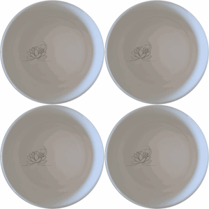 Discover the Karoo Desert Landscape Succulent Plants Bowl Set of 4, a stunning collection of ceramic bowls perfect for any dining occasion.