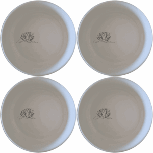 The Karoo Desert Landscape Succulent Plants Bowl Set of 4 brings natural beauty to your table with elegant, minimalist designs.