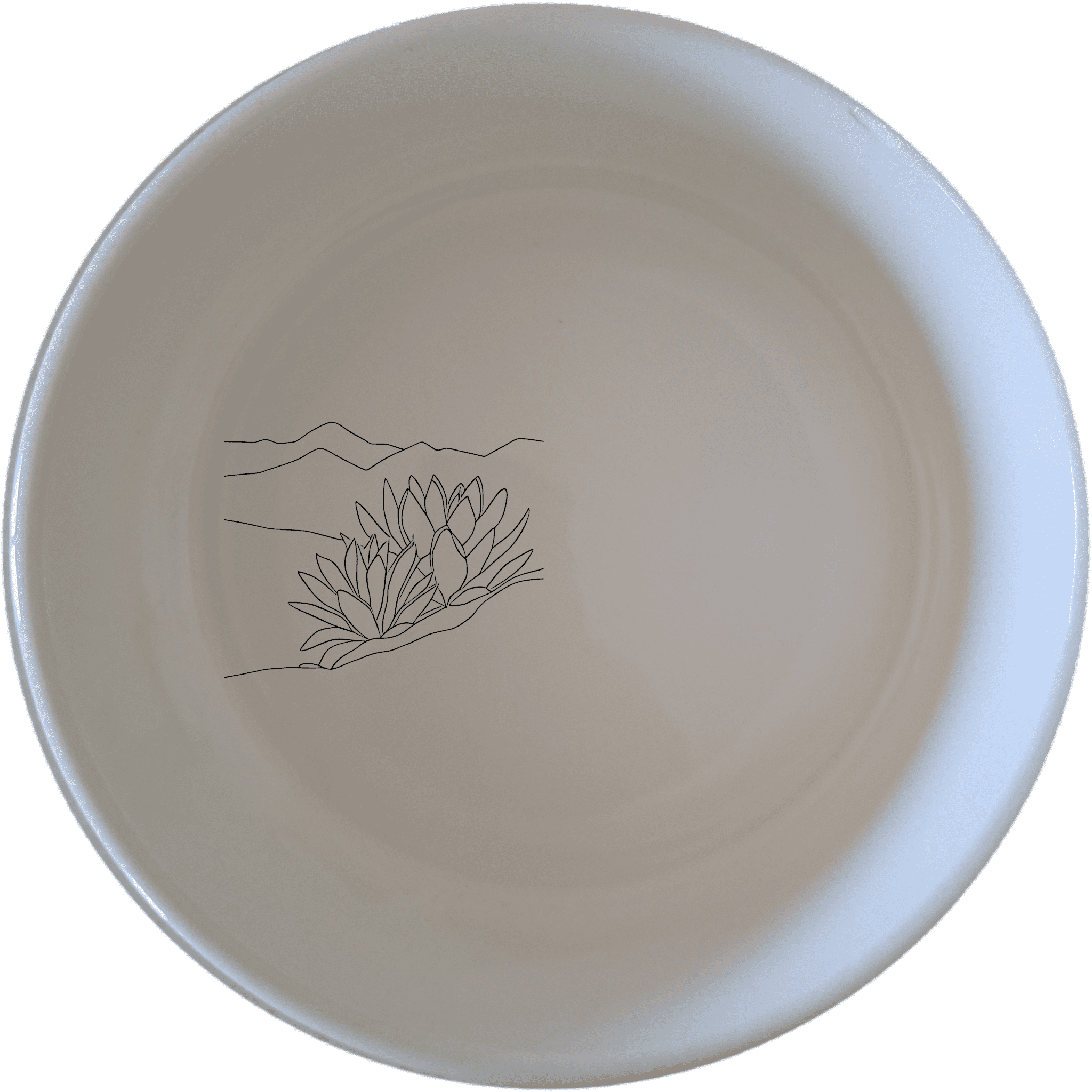 Karoo Desert Landscape Succulent Plants Bowl Set of 4 offers a unique and stylish addition to your dining collection with intricate desert-inspired designs.