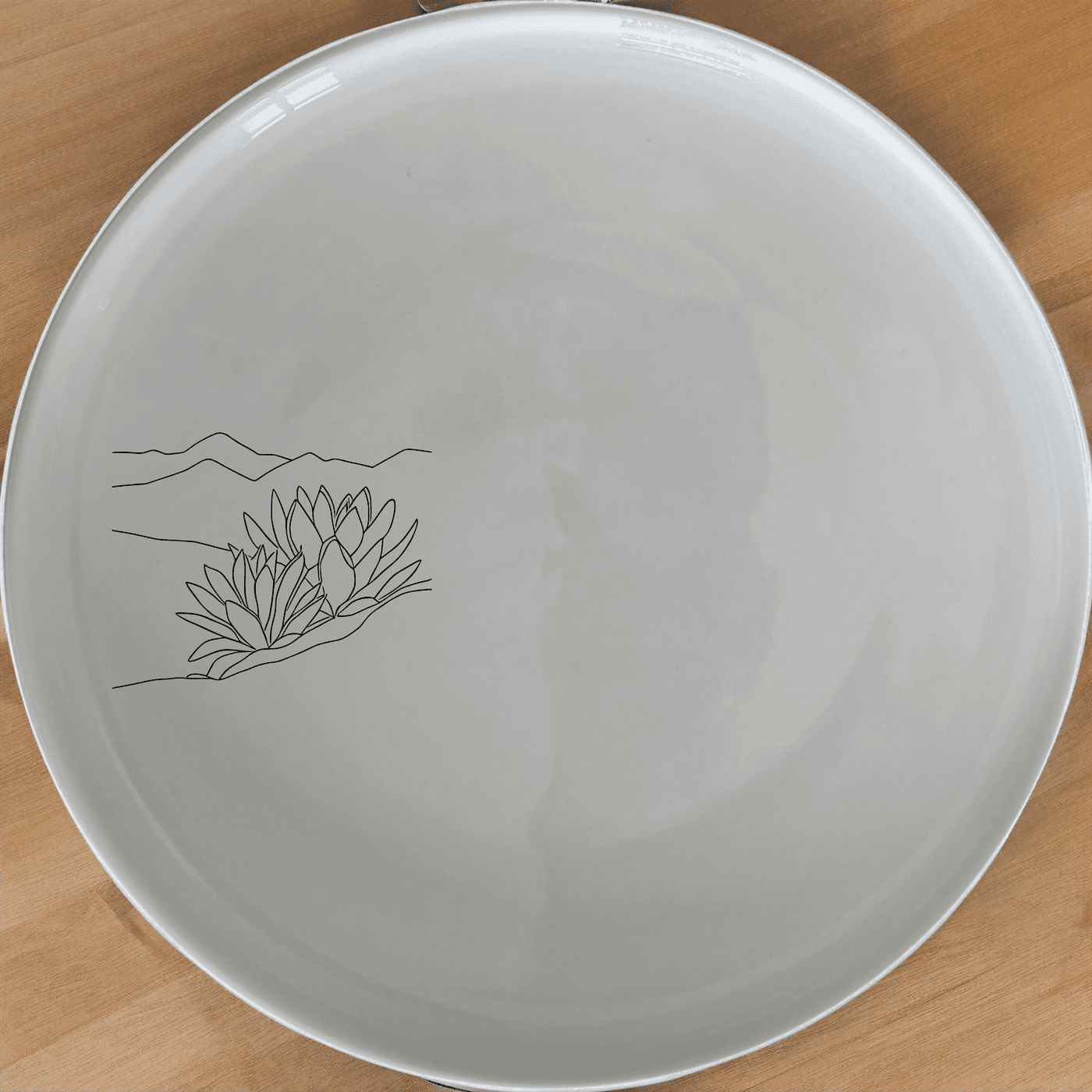 The Karoo Desert Landscape Succulent Plants Side Plate Set of 4 features minimalist designs perfect for modern dining.