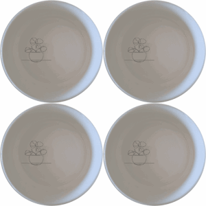 The Pilea Peperomioides Bowl Set of 4 is a stylish and versatile addition to your kitchen, perfect for serving snacks or desserts.