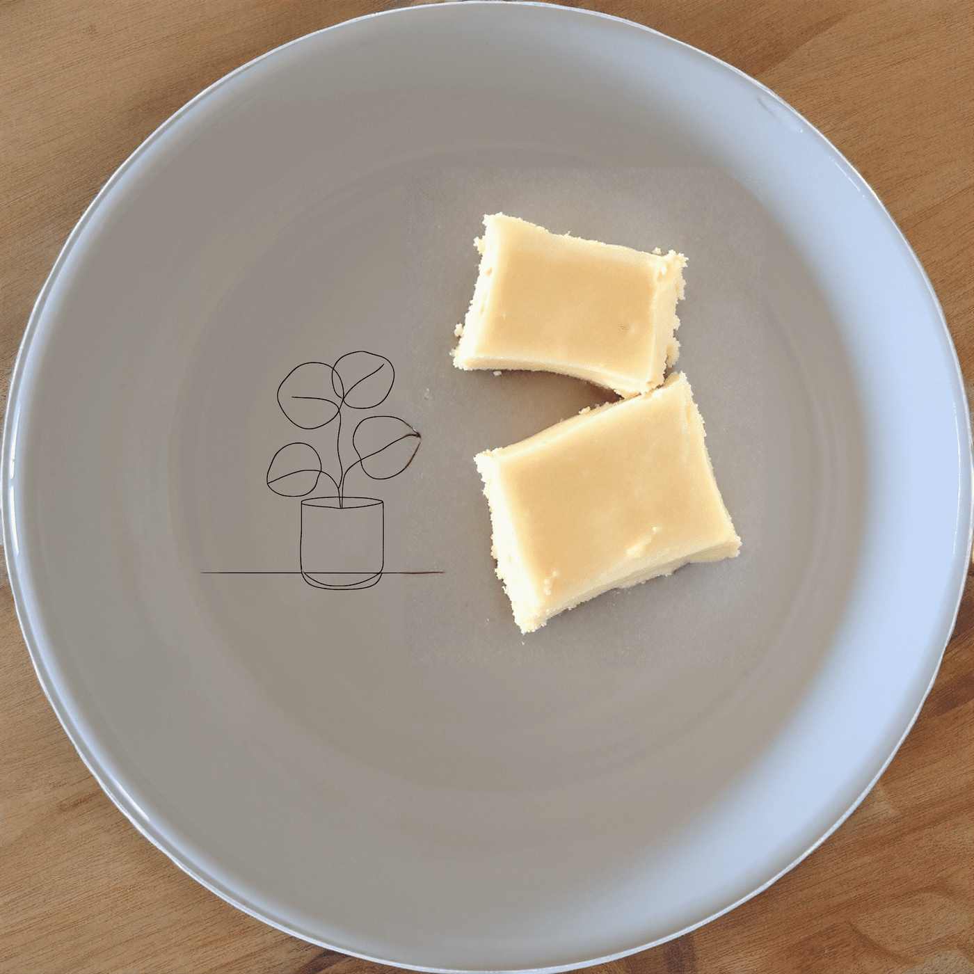 The Pilea Peperomioides Bowl Set of 4 is a stylish and modern addition to any kitchen, perfect for serving snacks or small meals.