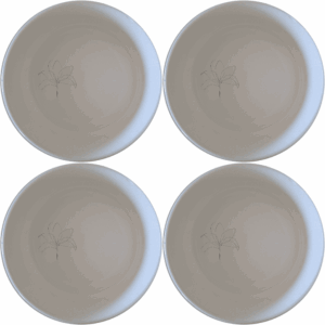 The Triostar Bowl Set of 4 offers a modern and minimalist design perfect for everyday use or special occasions.