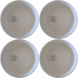 Discover the Tillandsia Air Plants Bowl Set of 4, a stylish and practical addition to your kitchen collection.