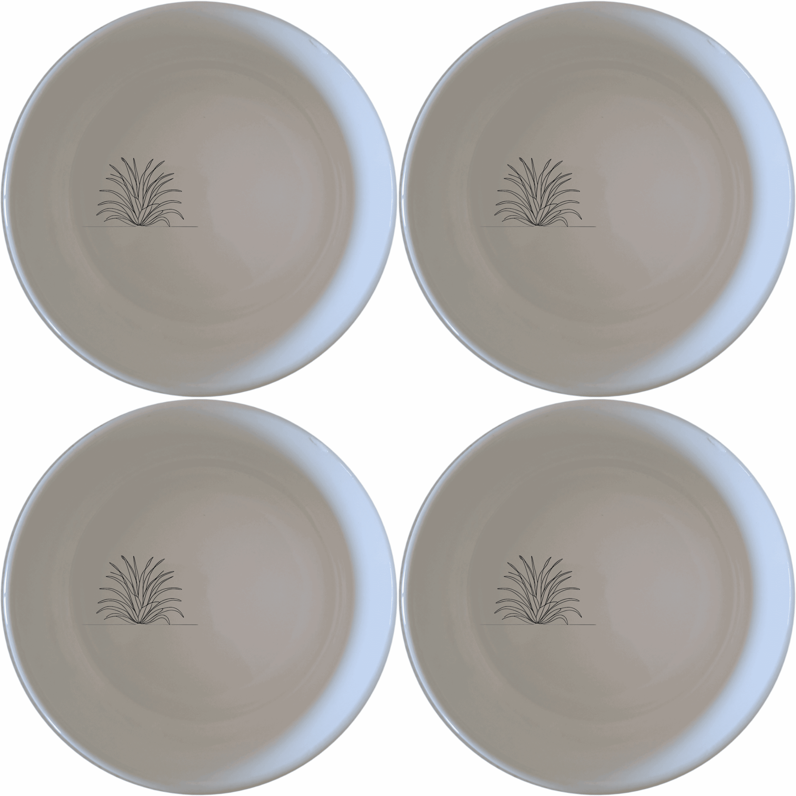 Discover the Tillandsia Air Plants Bowl Set of 4, a stylish and practical addition to your kitchen collection.