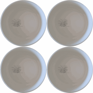 Discover the Tillandsia Air Plants Bowl Set of 4, a stylish and versatile addition to your kitchen. These ceramic bowls feature a subtle air plant design, perfect for serving snacks or salads.