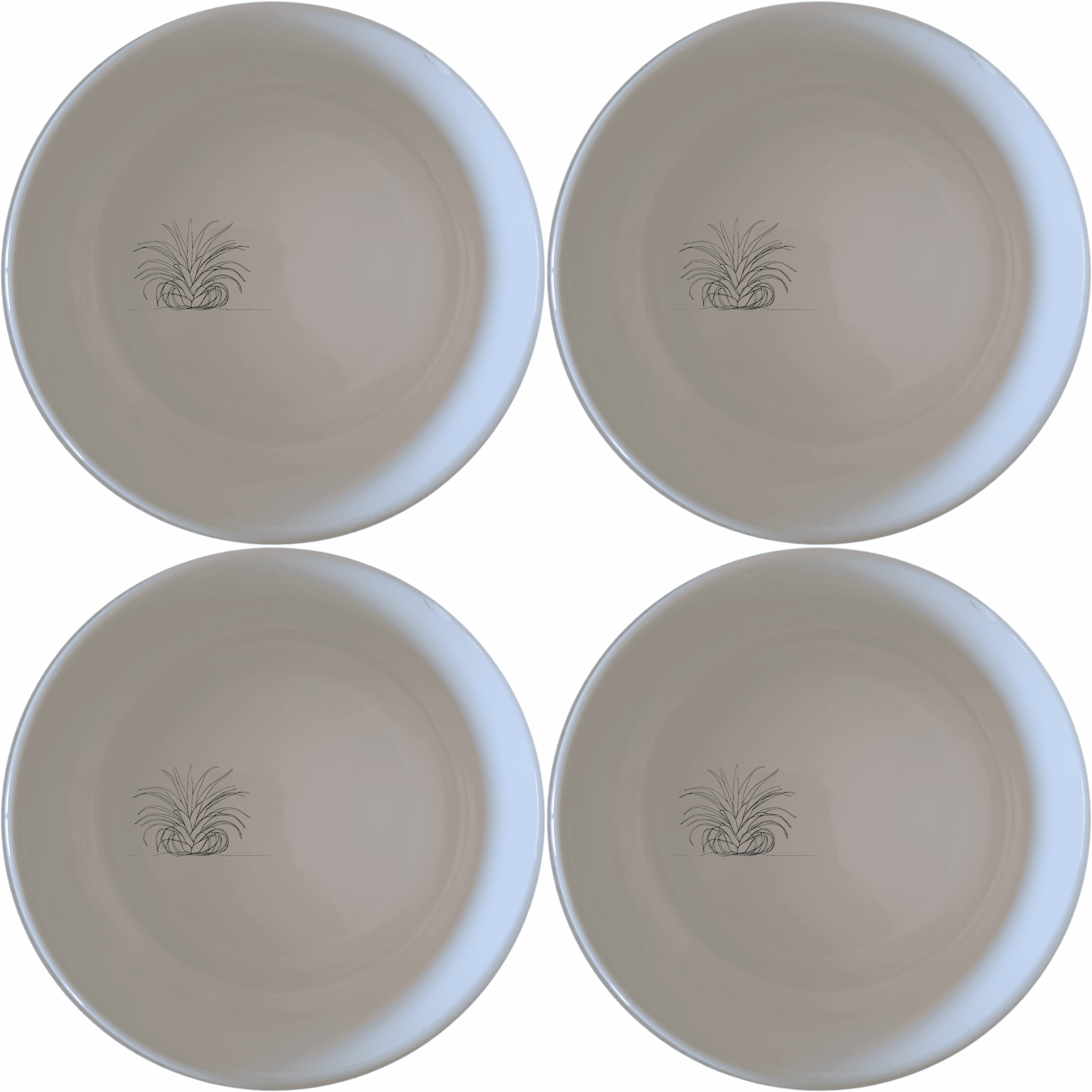Discover the Tillandsia Air Plants Bowl Set of 4, a stylish and versatile addition to your kitchen. These ceramic bowls feature a subtle air plant design, perfect for serving snacks or salads.