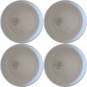 Discover the Tillandsia Air Plants Bowl Set of 4, a stylish and versatile addition to your kitchen collection.
