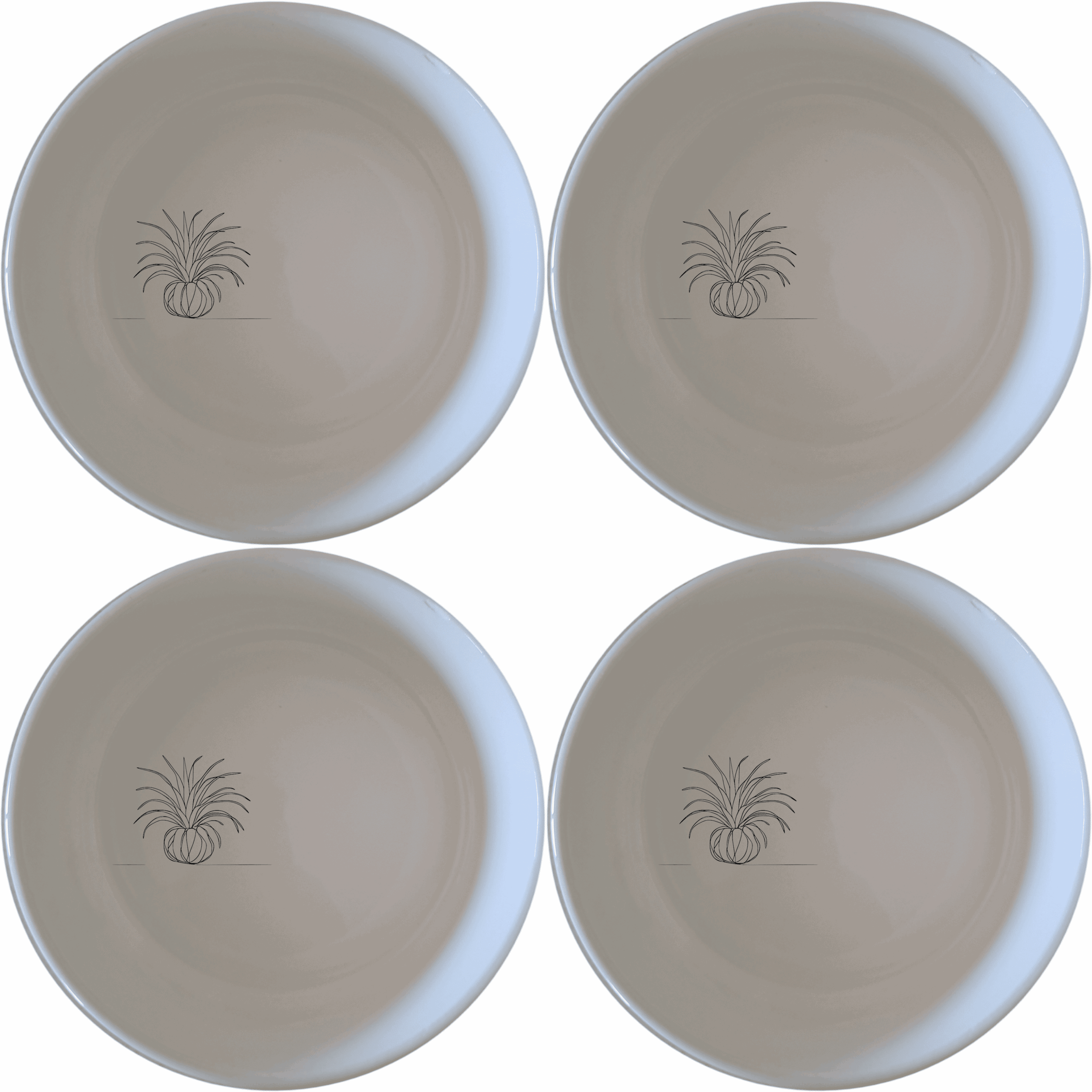 Discover the Tillandsia Air Plants Bowl Set of 4, a stylish and versatile addition to your kitchen collection.