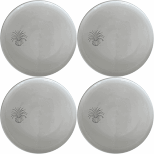 The Tillandsia Air Plants Dinner Plate Set of 4 features a modern, minimalist design perfect for contemporary dining.