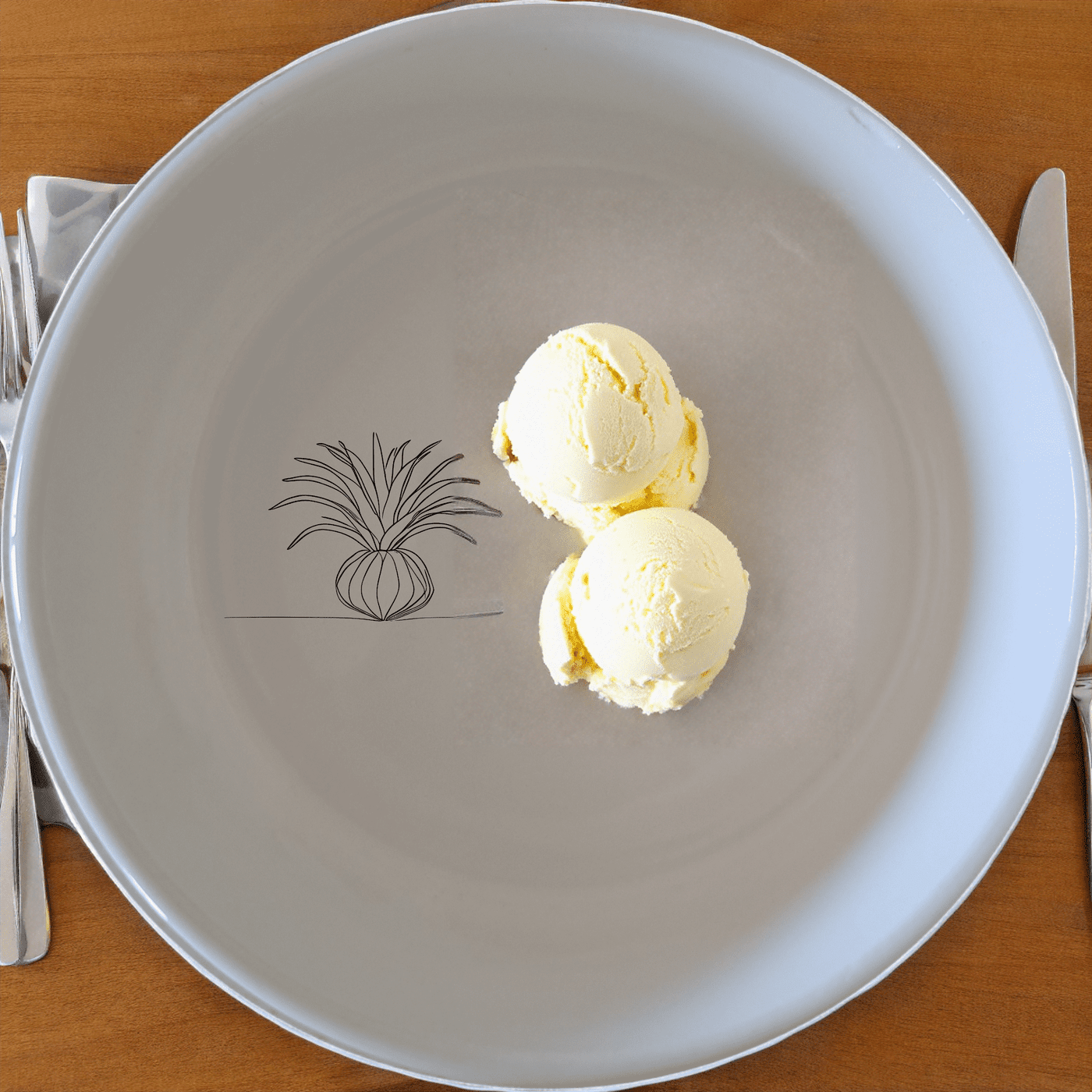 The Tillandsia Air Plants Bowl Set of 4 combines modern design with nature-inspired elegance, perfect for any dining occasion.