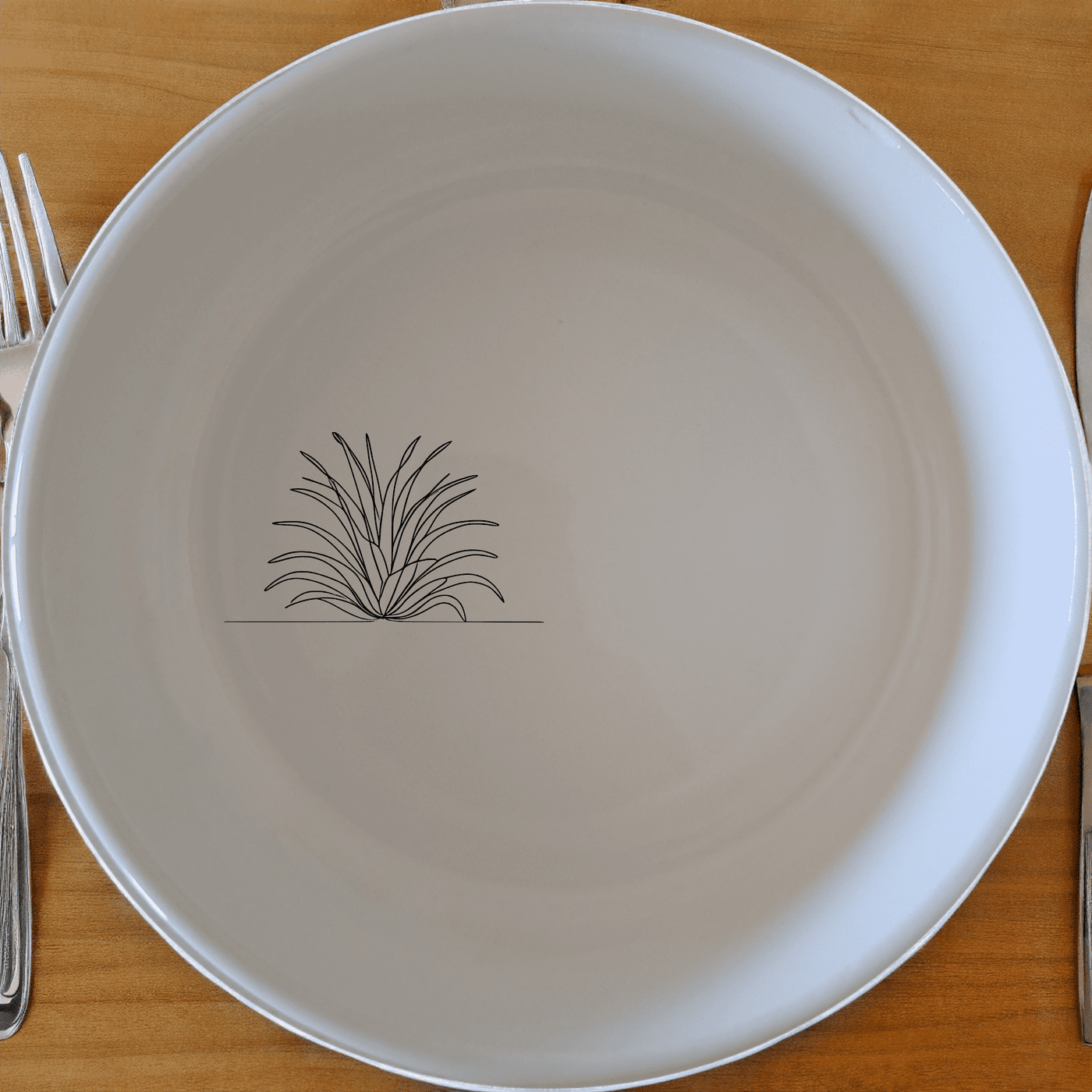 Discover the Tillandsia Air Plants Bowl Set of 4, a stylish and practical addition to your kitchen collection.