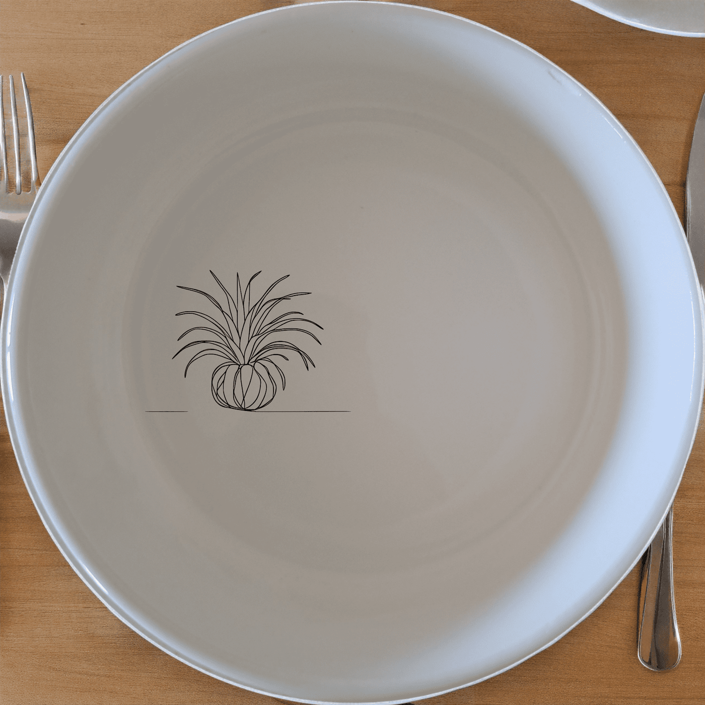 Discover the Tillandsia Air Plants Bowl Set of 4, a stylish and versatile addition to your kitchen collection.