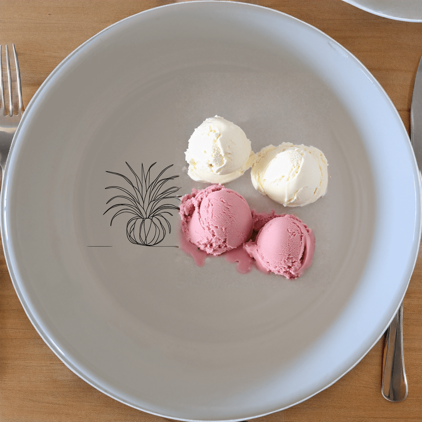 Discover the Tillandsia Air Plants Bowl Set of 4, a stylish and versatile addition to your kitchen collection.