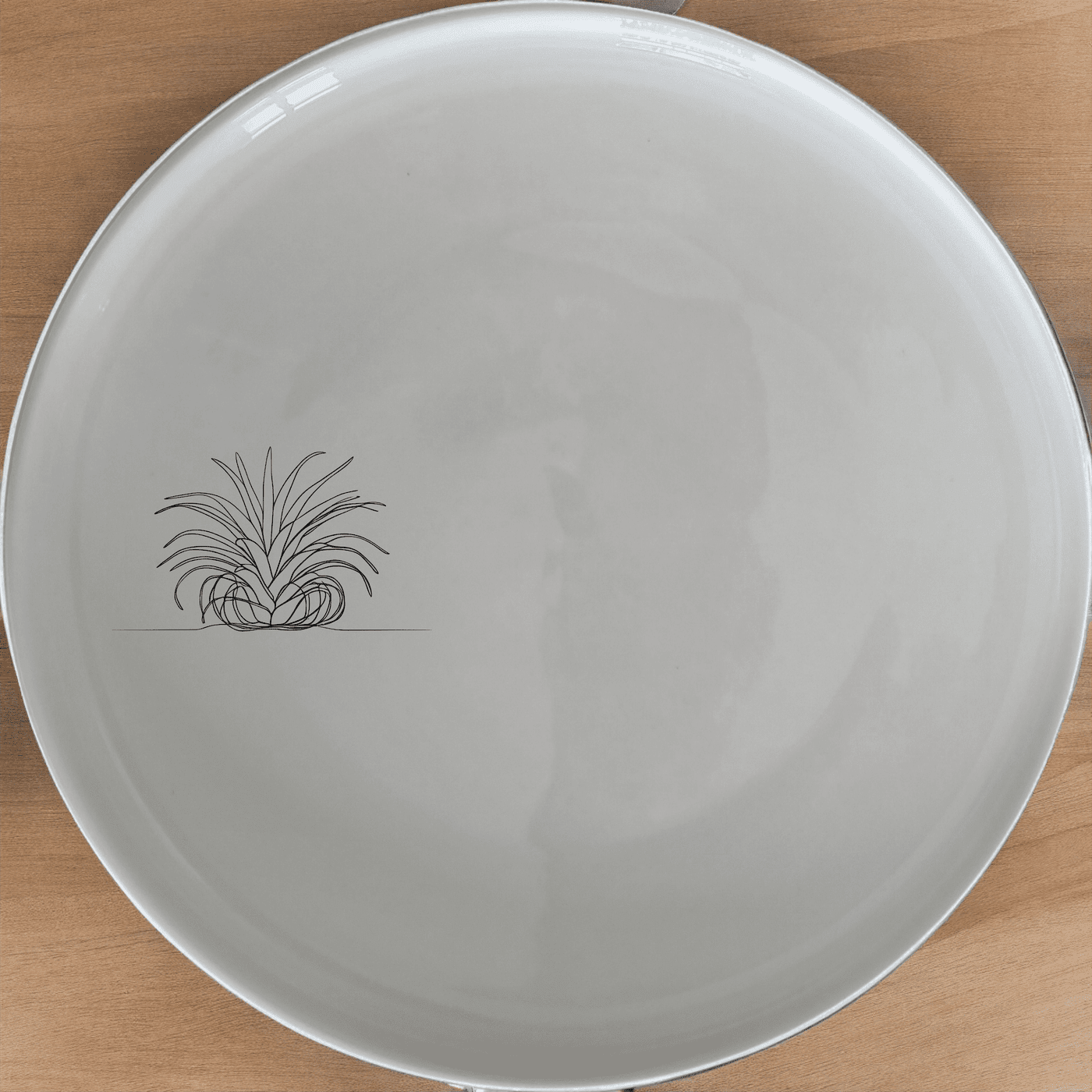 The Air Plants Dinner Plate Set of 4 features a sleek, modern design perfect for any dining table. Crafted from durable ceramic, these plates are microwave and dishwasher safe, making them ideal for everyday use.