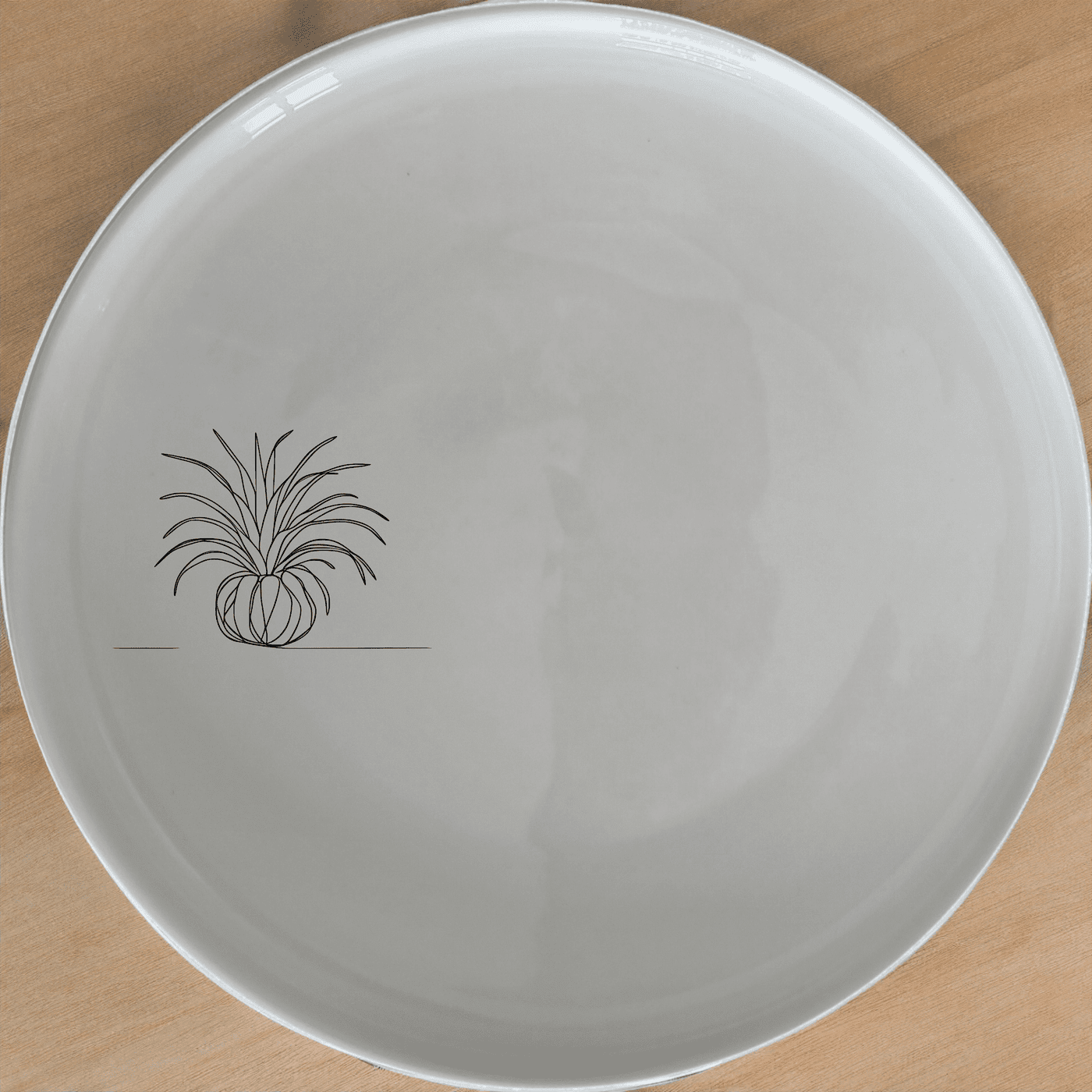 The Tillandsia Air Plants Dinner Plate Set of 4 features a modern, minimalist design perfect for contemporary dining.