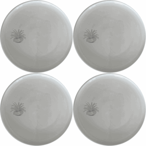 Discover the Air Plants Side Plate Set of 4, a stylish and versatile addition to your dining collection.