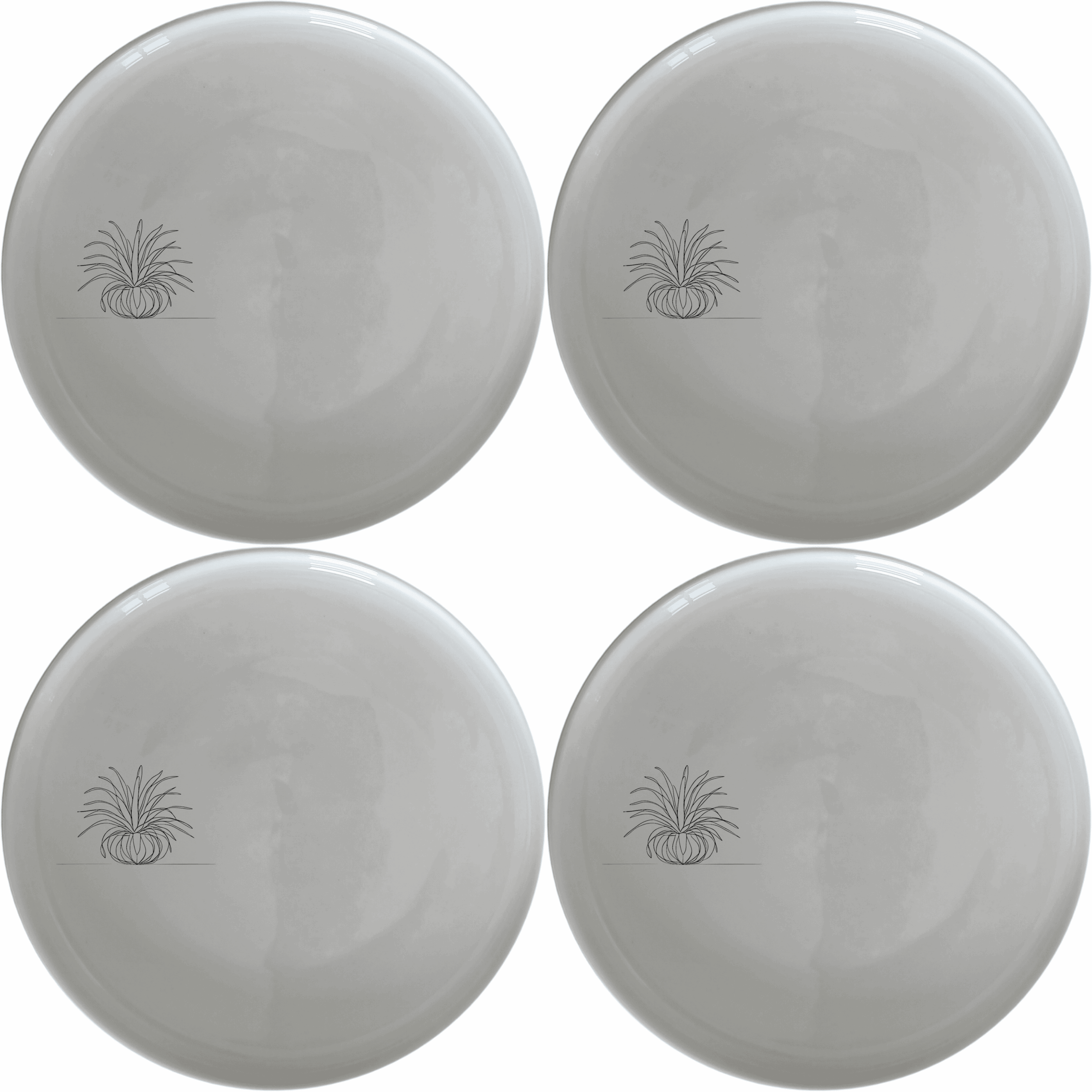 Discover the Air Plants Side Plate Set of 4, a stylish and versatile addition to your dining collection.