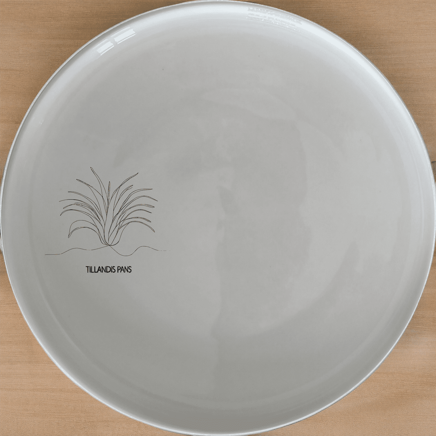 The Tillandsia Air Plants Side Plate Set of 4 adds a touch of nature to your dining table with its elegant design.