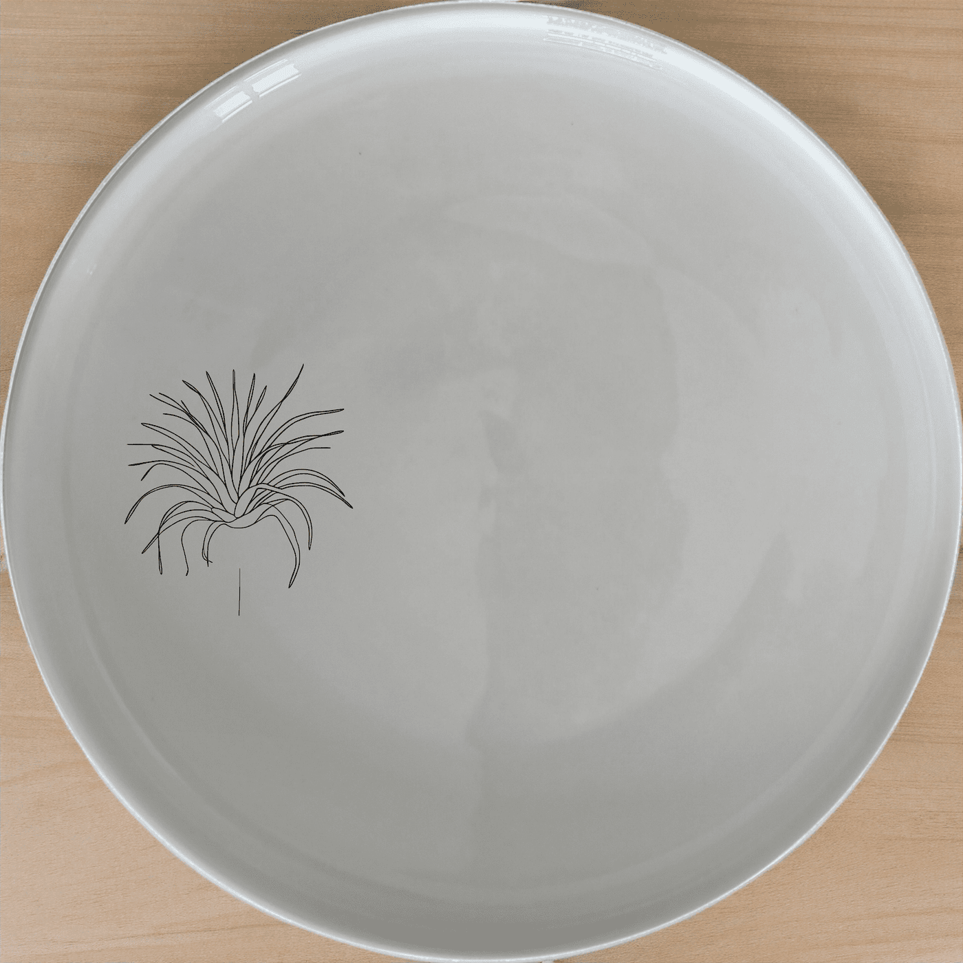 The Air Plants Side Plate Set of 4 adds a touch of nature to your dining table with its elegant design and modern aesthetic.