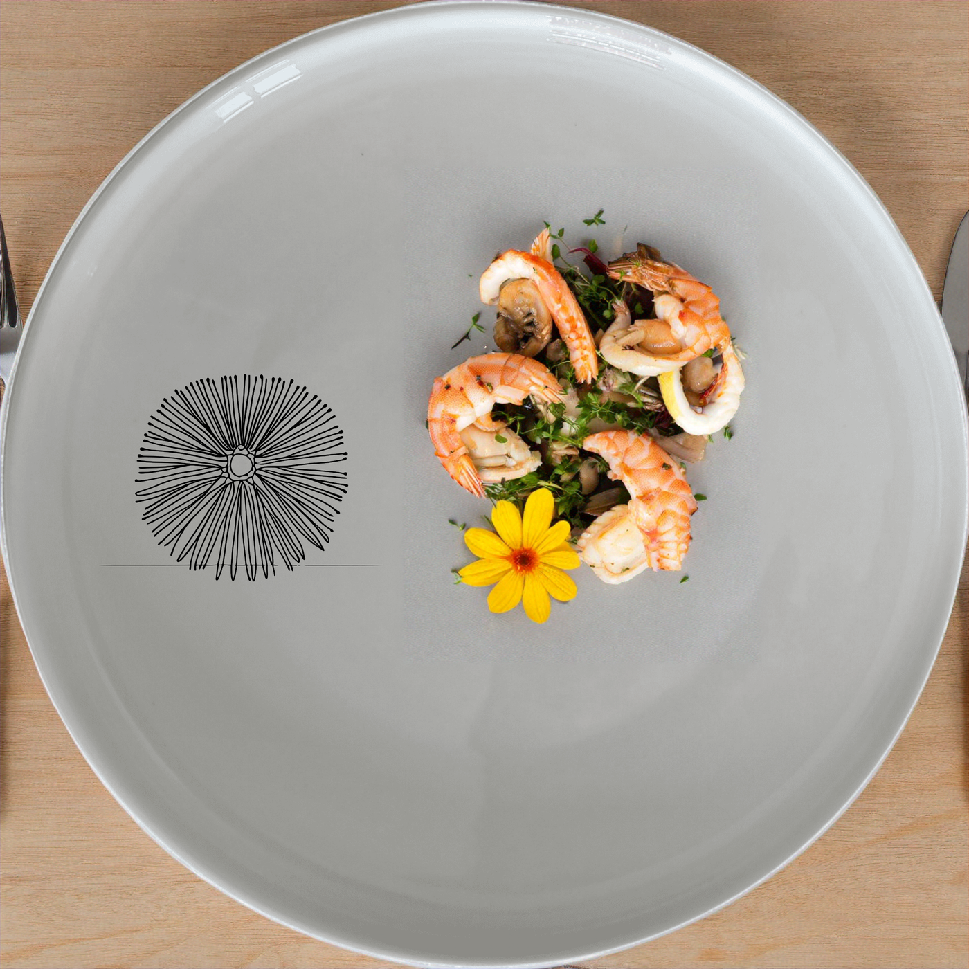 Delicate Sea Urchins Dinnerware Set of 12 - Range 1 offers a unique and stylish addition to your dining experience with its intricate sea urchin design.