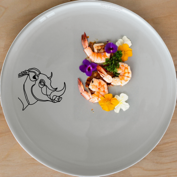 Warthog Portrait Dinnerware Set of 12 - Range 2 - NellCo